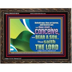 BEHOLD NOW THOU SHALL CONCEIVE  Custom Christian Artwork Wooden Frame  GWGLORIOUS10610  "45X33"