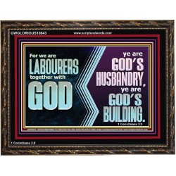 BE GOD'S HUSBANDRY AND GOD'S BUILDING  Large Scriptural Wall Art  GWGLORIOUS10643  "45X33"