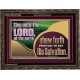 TESTIFY OF HIS SALVATION DAILY  Unique Power Bible Wooden Frame  GWGLORIOUS10664  