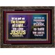 THE ARMOUR OF LIGHT OUR LORD JESUS CHRIST  Ultimate Inspirational Wall Art Wooden Frame  GWGLORIOUS10689  