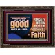 DO GOOD UNTO ALL MEN ESPECIALLY THE HOUSEHOLD OF FAITH  Church Wooden Frame  GWGLORIOUS10707  