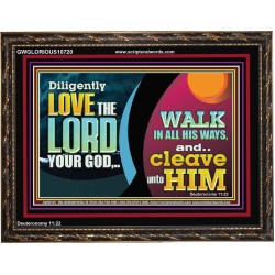 DILIGENTLY LOVE THE LORD WALK IN ALL HIS WAYS  Unique Scriptural Wooden Frame  GWGLORIOUS10720  "45X33"