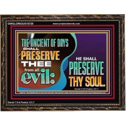 THE ANCIENT OF DAYS SHALL PRESERVE THEE FROM ALL EVIL  Scriptures Wall Art  GWGLORIOUS10729  "45X33"