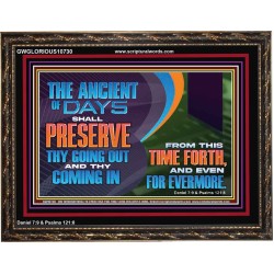 THE ANCIENT OF DAYS SHALL PRESERVE THY GOING OUT AND COMING  Scriptural Wall Art  GWGLORIOUS10730  "45X33"