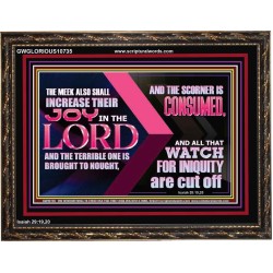 THE MEEK ALSO SHALL INCREASE THEIR JOY IN THE LORD  Scriptural Décor Wooden Frame  GWGLORIOUS10735  "45X33"