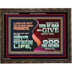 LABOUR NOT FOR THE MEAT WHICH PERISHETH  Bible Verse Wooden Frame  GWGLORIOUS10741  "45X33"