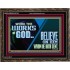 WORK THE WORKS OF GOD BELIEVE ON HIM WHOM HE HATH SENT  Scriptural Verse Wooden Frame   GWGLORIOUS10742  "45X33"
