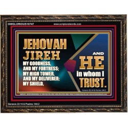JEHOVAH JIREH OUR GOODNESS FORTRESS HIGH TOWER DELIVERER AND SHIELD  Scriptural Wooden Frame Signs  GWGLORIOUS10747  "45X33"