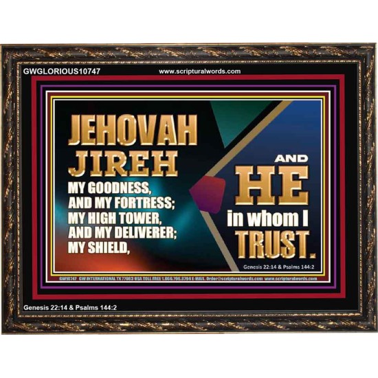 JEHOVAH JIREH OUR GOODNESS FORTRESS HIGH TOWER DELIVERER AND SHIELD  Scriptural Wooden Frame Signs  GWGLORIOUS10747  