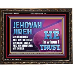 JEHOVAH JIREH OUR GOODNESS FORTRESS HIGH TOWER DELIVERER AND SHIELD  Encouraging Bible Verses Wooden Frame  GWGLORIOUS10750  "45X33"