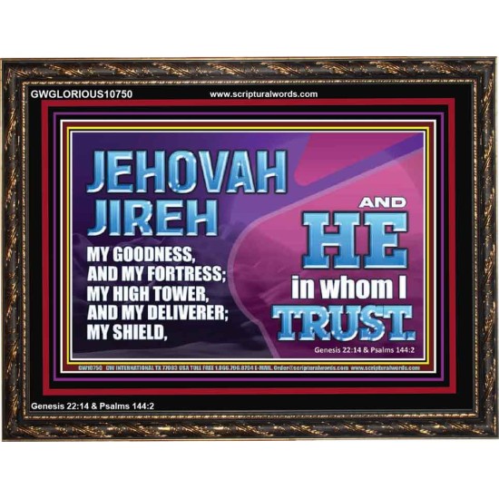 JEHOVAH JIREH OUR GOODNESS FORTRESS HIGH TOWER DELIVERER AND SHIELD  Encouraging Bible Verses Wooden Frame  GWGLORIOUS10750  