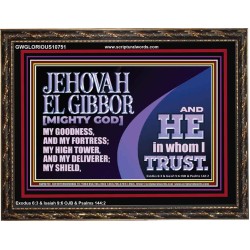 JEHOVAH EL GIBBOR MIGHTY GOD OUR GOODNESS FORTRESS HIGH TOWER DELIVERER AND SHIELD  Encouraging Bible Verse Wooden Frame  GWGLORIOUS10751  "45X33"