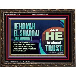 JEHOVAH EL SHADDAI GOD ALMIGHTY OUR GOODNESS FORTRESS HIGH TOWER DELIVERER AND SHIELD  Christian Quotes Wooden Frame  GWGLORIOUS10752  "45X33"