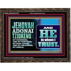 JEHOVAH ADONAI TZIDKENU OUR RIGHTEOUSNESS OUR GOODNESS FORTRESS HIGH TOWER DELIVERER AND SHIELD  Christian Quotes Wooden Frame  GWGLORIOUS10753  "45X33"
