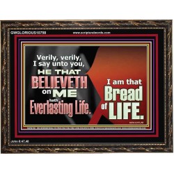 HE THAT BELIEVETH ON ME HATH EVERLASTING LIFE  Contemporary Christian Wall Art  GWGLORIOUS10758  "45X33"