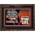 HE THAT BELIEVETH ON ME HATH EVERLASTING LIFE  Contemporary Christian Wall Art  GWGLORIOUS10758  "45X33"