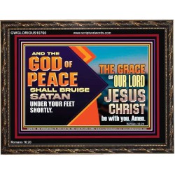 THE GOD OF PEACE SHALL BRUISE SATAN UNDER YOUR FEET SHORTLY  Scripture Art Prints Wooden Frame  GWGLORIOUS10760  "45X33"