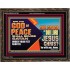 THE GOD OF PEACE SHALL BRUISE SATAN UNDER YOUR FEET SHORTLY  Scripture Art Prints Wooden Frame  GWGLORIOUS10760  "45X33"