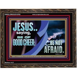 BE OF GOOD CHEER BE NOT AFRAID  Contemporary Christian Wall Art  GWGLORIOUS10763  "45X33"