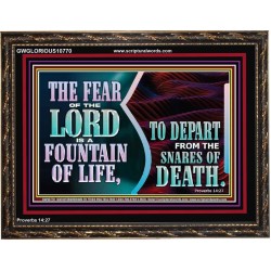 THE FEAR OF THE LORD IS A FOUNTAIN OF LIFE TO DEPART FROM THE SNARES OF DEATH  Scriptural Wooden Frame Wooden Frame  GWGLORIOUS10770  "45X33"