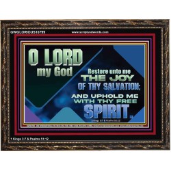 RESTORE UNTO ME THE JOY OF THY SALVATION  Scripture Art Prints  GWGLORIOUS10799  "45X33"