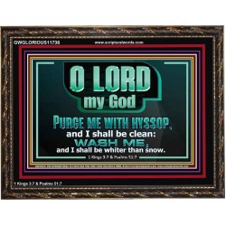 PURGE ME WITH HYSSOP AND I SHALL BE CLEAN  Biblical Art Wooden Frame  GWGLORIOUS11736  "45X33"