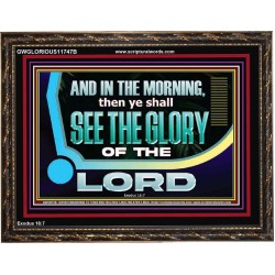 YOU SHALL SEE THE GLORY OF GOD IN THE MORNING  Ultimate Power Picture  GWGLORIOUS11747B  "45X33"