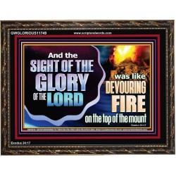THE SIGHT OF THE GLORY OF THE LORD  Eternal Power Picture  GWGLORIOUS11749  "45X33"