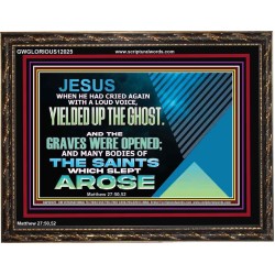AND THE GRAVES WERE OPENED AND MANY BODIES OF THE SAINTS WHICH SLEPT AROSE  Sanctuary Wall Wooden Frame  GWGLORIOUS12025  "45X33"