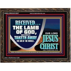 THE LAMB OF GOD THAT TAKETH AWAY THE SIN OF THE WORLD  Unique Power Bible Wooden Frame  GWGLORIOUS12037  "45X33"