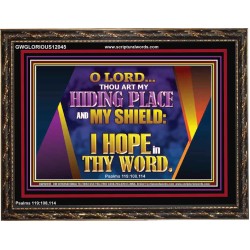 THOU ART MY HIDING PLACE AND SHIELD  Bible Verses Wall Art Wooden Frame  GWGLORIOUS12045  "45X33"