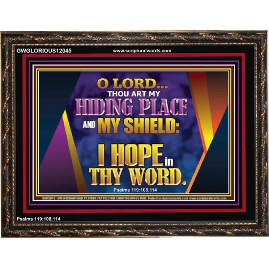 THOU ART MY HIDING PLACE AND SHIELD  Bible Verses Wall Art Wooden Frame  GWGLORIOUS12045  