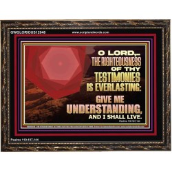THE RIGHTEOUSNESS OF THY TESTIMONIES IS EVERLASTING O LORD  Religious Wall Art   GWGLORIOUS12048  "45X33"