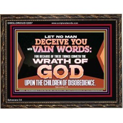 LET NO MAN DECEIVE YOU WITH VAIN WORDS  Scripture Art Work Wooden Frame  GWGLORIOUS12057  "45X33"