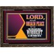 THE LORD WILL ORDAIN PEACE FOR US  Large Wall Accents & Wall Wooden Frame  GWGLORIOUS12113  