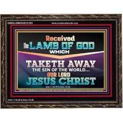 RECEIVED THE LAMB OF GOD OUR LORD JESUS CHRIST  Art & Décor Wooden Frame  GWGLORIOUS12153  "45X33"