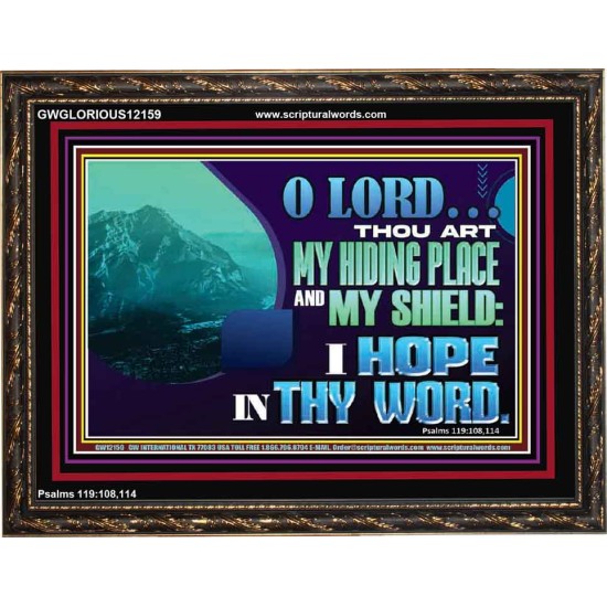 THOU ART MY HIDING PLACE AND SHIELD  Large Custom Wooden Frame   GWGLORIOUS12159  