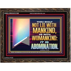 THOU SHALT NOT LIE WITH MANKIND AS WITH WOMANKIND IT IS ABOMINATION  Bible Verse for Home Wooden Frame  GWGLORIOUS12169  "45X33"