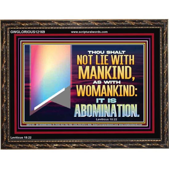 THOU SHALT NOT LIE WITH MANKIND AS WITH WOMANKIND IT IS ABOMINATION  Bible Verse for Home Wooden Frame  GWGLORIOUS12169  