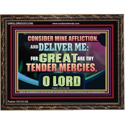GREAT ARE THY TENDER MERCIES O LORD  Unique Scriptural Picture  GWGLORIOUS12180  "45X33"