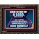 FEARFUL IN PRAISES DOING WONDERS  Ultimate Inspirational Wall Art Wooden Frame  GWGLORIOUS12320  
