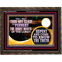 REPENT AND COME TO KNOW THE TRUTH  Eternal Power Wooden Frame  GWGLORIOUS12373  "45X33"