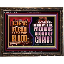 AVAILETH THYSELF WITH THE PRECIOUS BLOOD OF CHRIST  Children Room  GWGLORIOUS12375  "45X33"