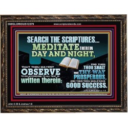 SEARCH THE SCRIPTURES MEDITATE THEREIN DAY AND NIGHT  Unique Power Bible Wooden Frame  GWGLORIOUS12379  "45X33"