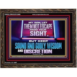 KEEP SOUND AND GODLY WISDOM AND DISCRETION  Church Wooden Frame  GWGLORIOUS12406  "45X33"