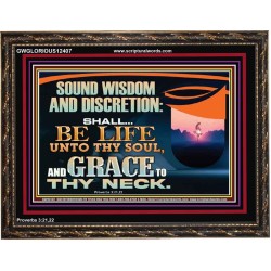 SOUND WISDOM AND DISCRETION SHALL BE LIFE UNTO THY SOUL  Children Room Wall Wooden Frame  GWGLORIOUS12407  "45X33"