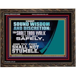 THY FOOT SHALL NOT STUMBLE  Sanctuary Wall Wooden Frame  GWGLORIOUS12408  "45X33"