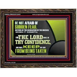 THE LORD SHALL BE THY CONFIDENCE  Unique Scriptural Wooden Frame  GWGLORIOUS12410  "45X33"