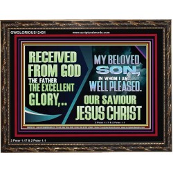 MY BELOVED SON IN WHOM I AM WELL PLEASED OUR SAVIOUR JESUS CHRIST  Eternal Power Wooden Frame  GWGLORIOUS12431  "45X33"