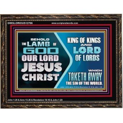 THE LAMB OF GOD OUR LORD JESUS CHRIST  Wooden Frame Scripture   GWGLORIOUS12706  "45X33"